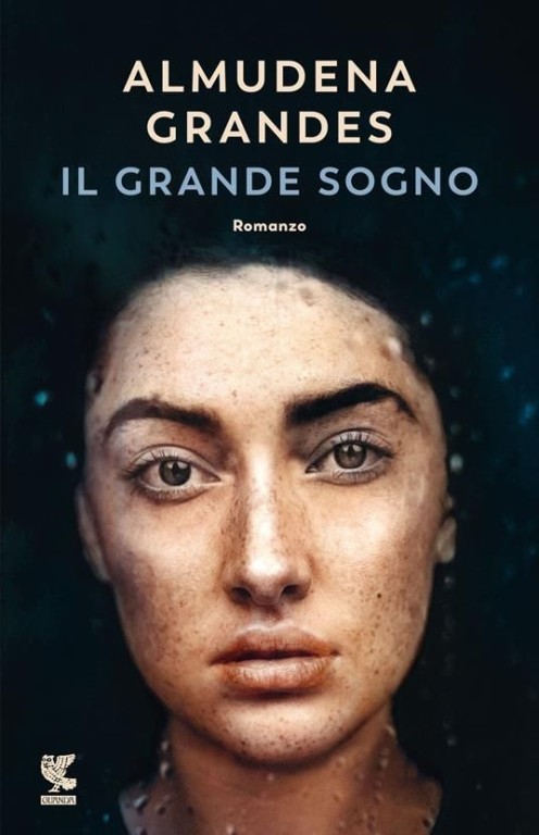 copertina di Il grande sogno