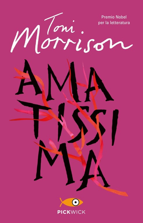copertina di Amatissima