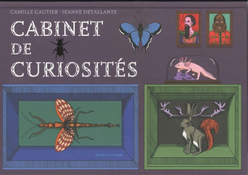 copertina di Cabinet de curiosités