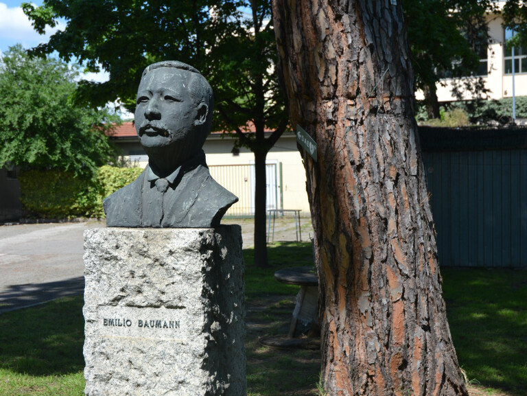 Busto di Emilio Baumann