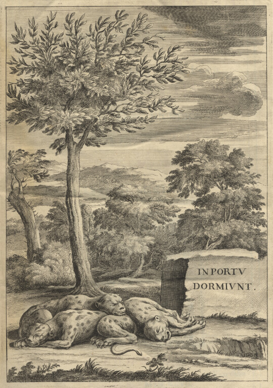 7.1 MARCELLO MALPIGHI, Opera posthuma, figuris aeneis illustrata. Quibus praefixa est ejusdem vita a seipso scripta  Londra, A. & J. Churchill, R. Chiswell, 1697. 2°.