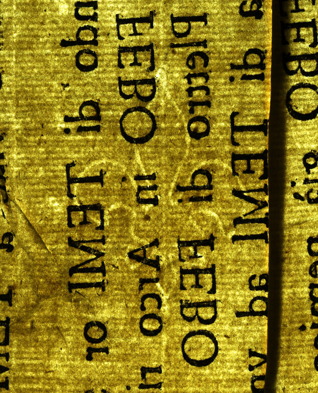 image of ID. 58 giglio
