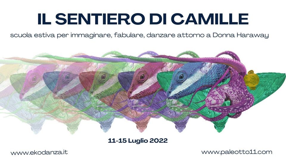 copertina di Il sentiero di Camille