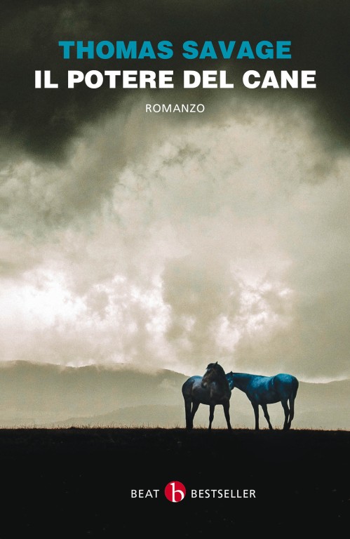 copertina di Il potere del cane