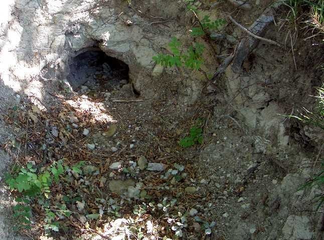 Ricovero sotterraneo a Monte Castellari 
