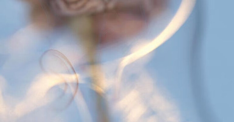 copertina di L'impero della normalità. Neurodiversità e capitalismo 