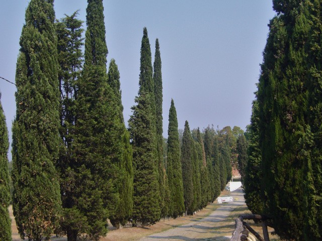 Parco Cavaioni (BO)