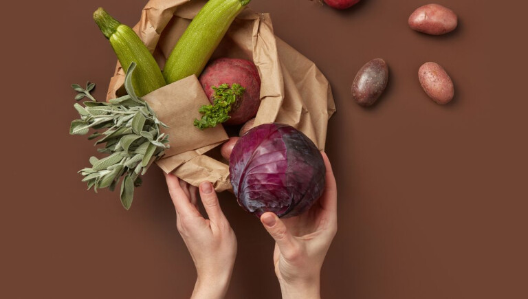 copertina di Concerto dell'Orchestra Vegetale Felici e Conflenti
