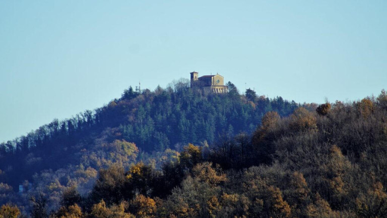 copertina di Riserva naturale del Contrafforte Pliocenico. Dove volano le Formiche