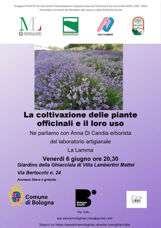 immagine di La coltivazione delle piante officinali e il loro uso 