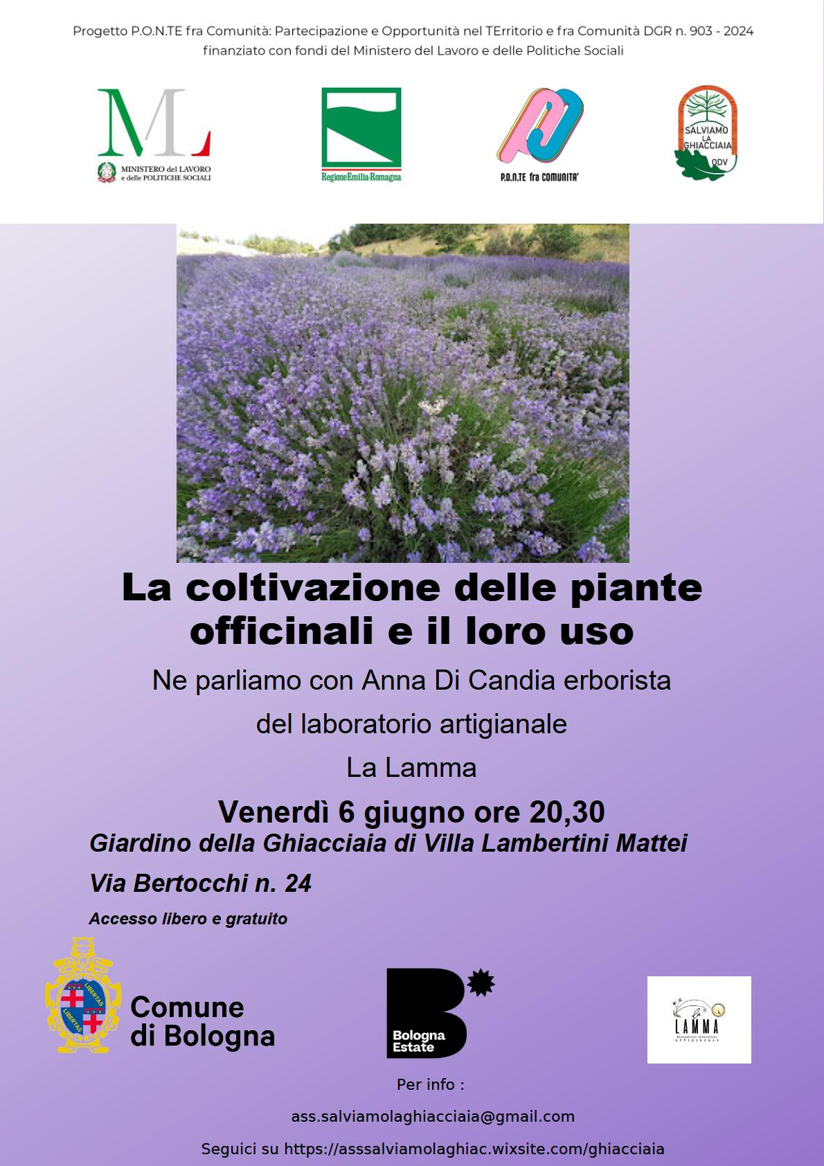 La coltivazione delle piante officinali e il loro uso 