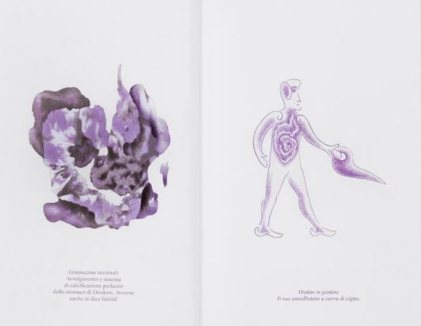 copertina di Gancio Cielo – DNA Clepsydra