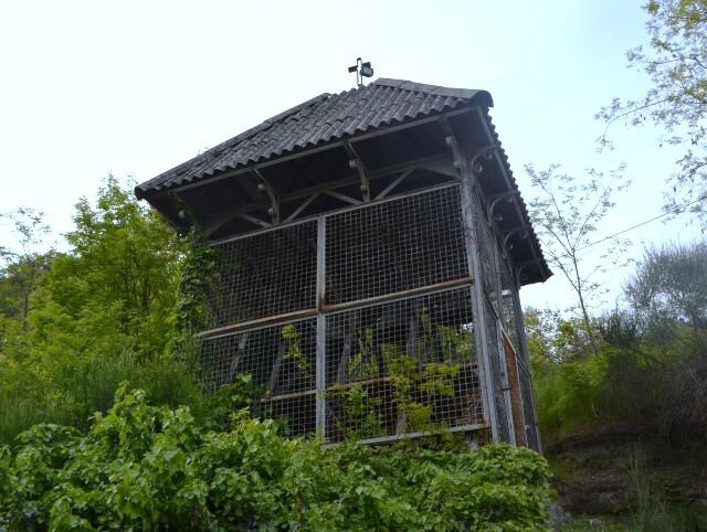 Le campane dell'oratorio di Sant'Ansano