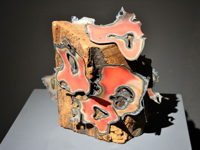 Germano Sartelli. L'incanto della materia