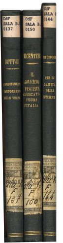Luigi Vicentini