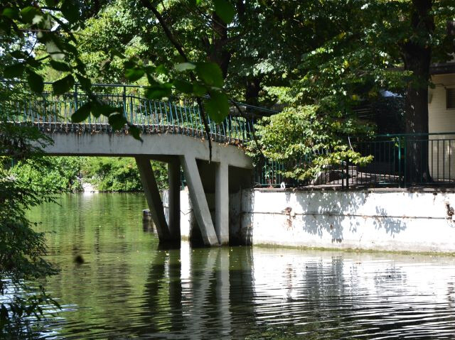 Il ponte dello chalet-bar