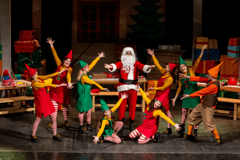 copertina di Gli elfi di Babbo Natale