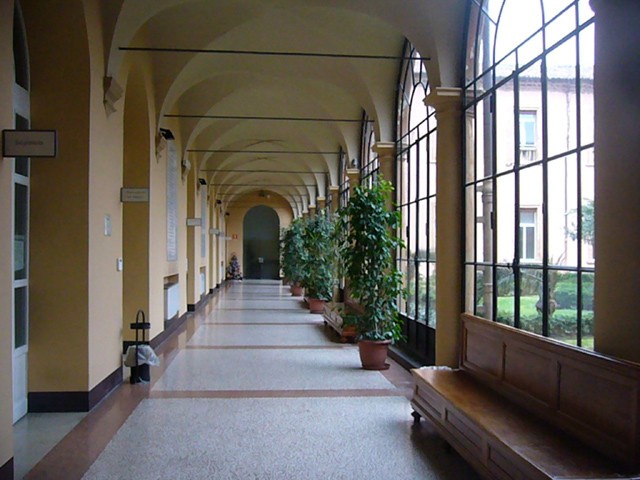 Ospedale Rizzoli (BO)