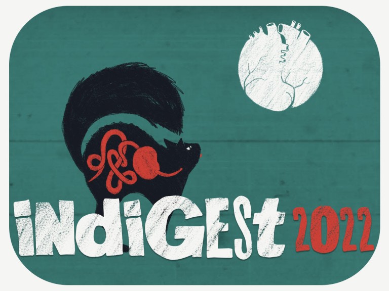 cover of Indigest Festival