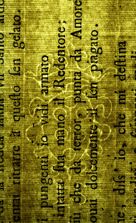 image of ID. 98 stemma Medici, IS