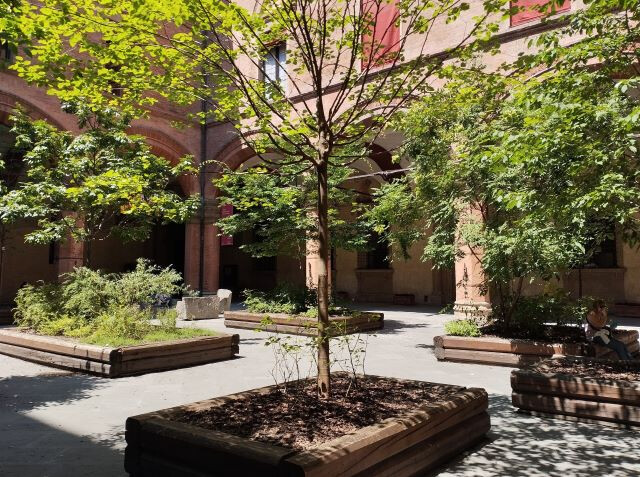 Alberi nella corte d'onore