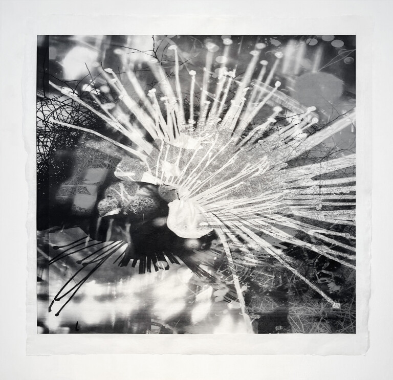 copertina di Natura e Artificio 