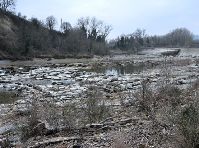 Il fiume Reno