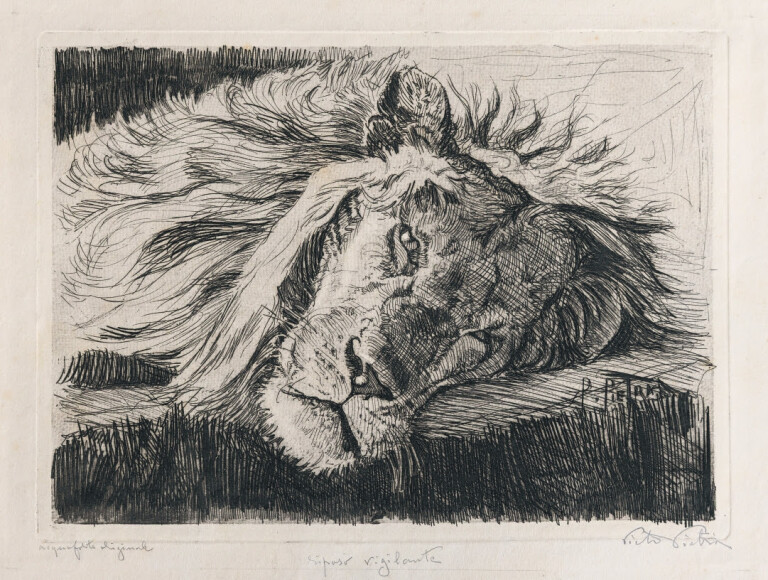 immagine di Pietro Pietra (1885-1956). La forza del segno