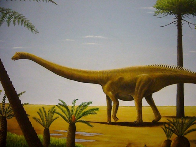 Ricostruzione grafica del Diplodocus