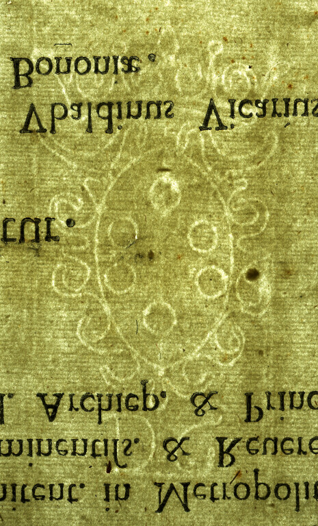 image of ID. 44 stemma Medici, DG