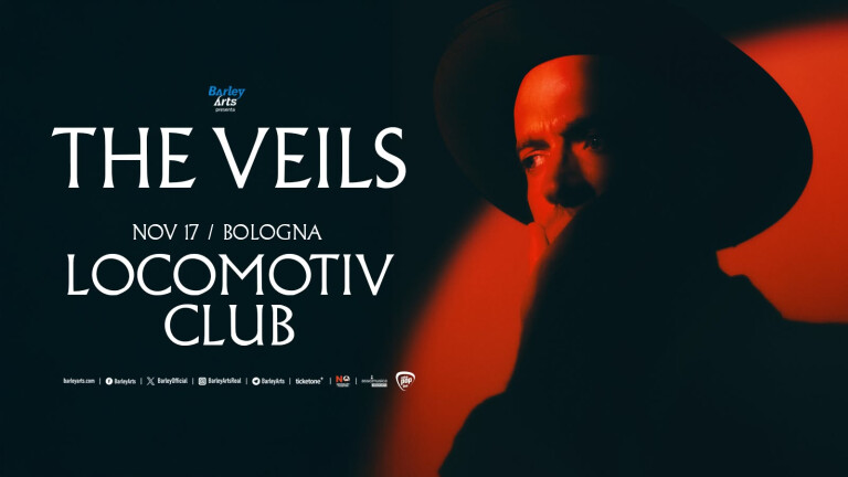 copertina di The Veils