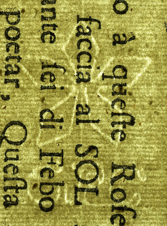 image of ID. 67 fiore a cinque petali, GFC