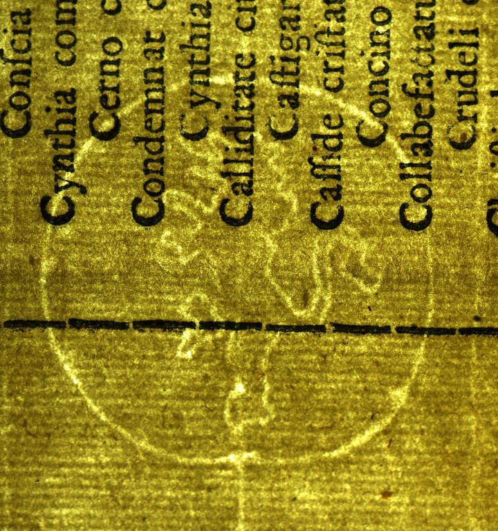 image of ID. 209 leone rampante cerchiato