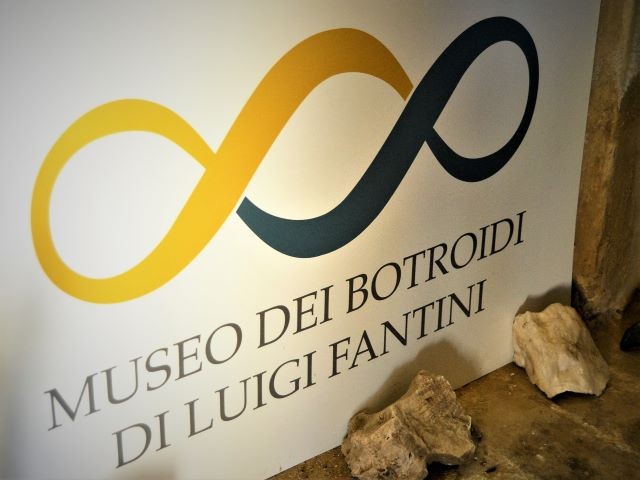 Museo dei botroidi 
