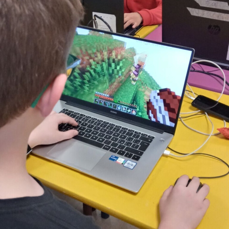 immagine di Laboratorio di Minecraft