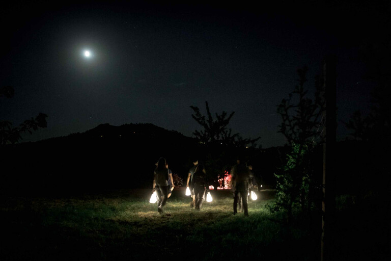 cover of TRA GLI ALBERI BY NIGHT 