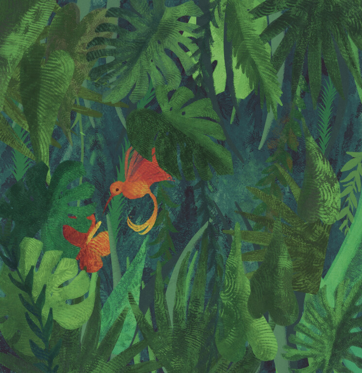 immagine di Tesori nascosti