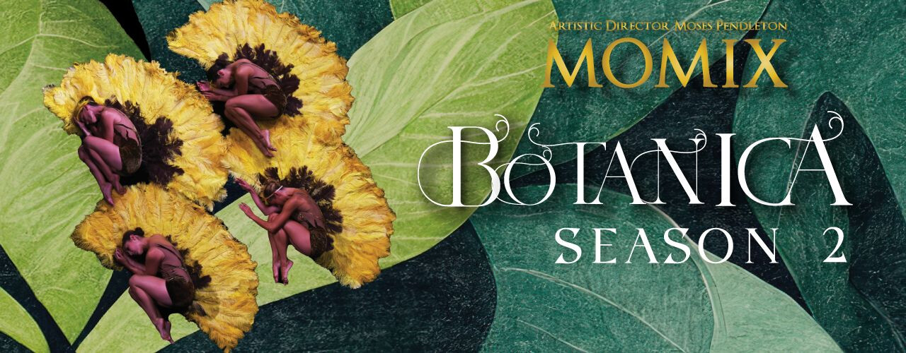 Botanica – Season 2.  Momix