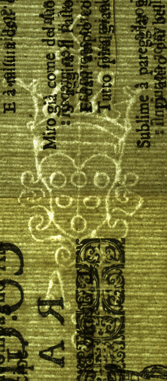 image of ID. 145 stemma Medici, GAS