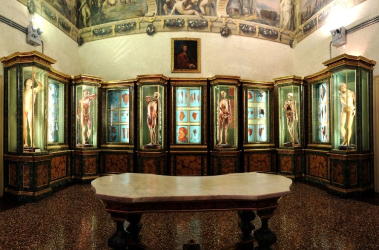 immagine di Apertura straordinaria Museo di Palazzo Poggi