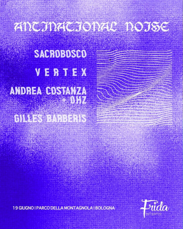 immagine di Antinational Noise
