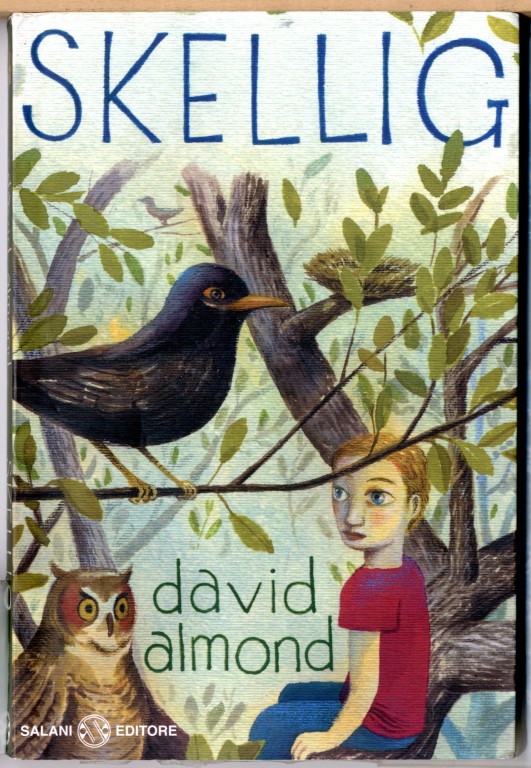 copertina di Skellig
David Almond, Salani, 2009