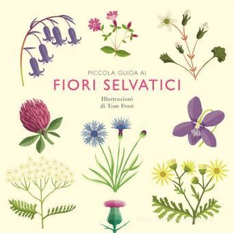 copertina di Piccola guida ai fiori selvatici