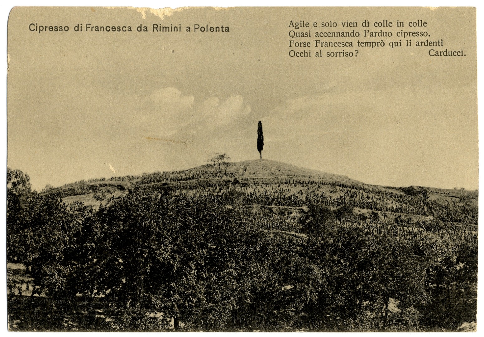 Il cipresso di Francesca da Rimini a Polenta