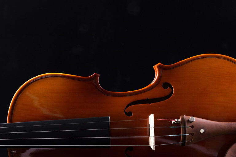 immagine di L'anima del violino