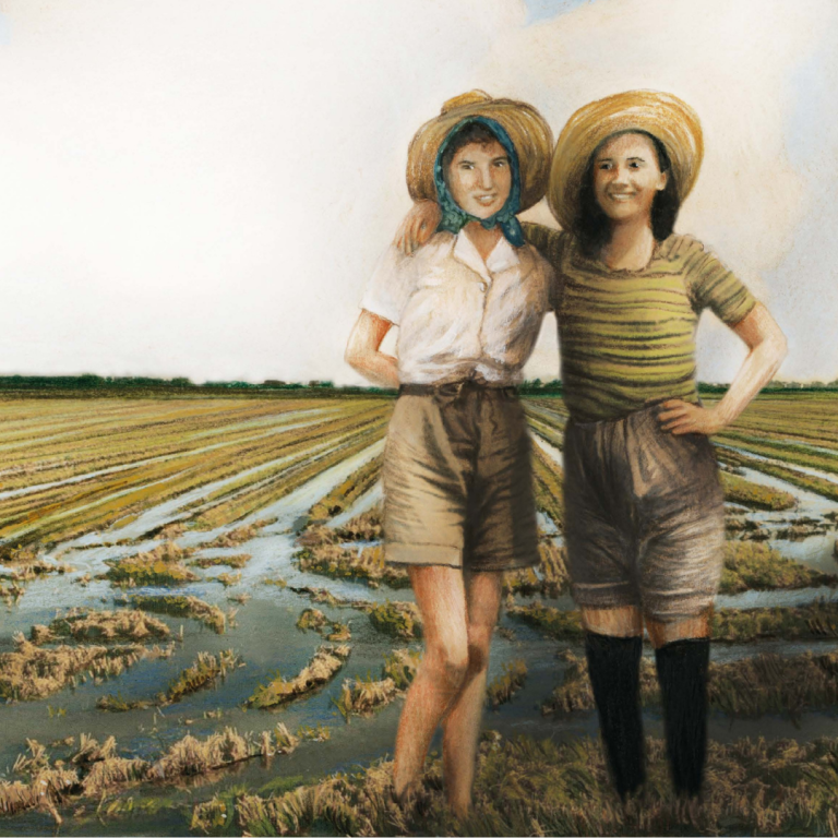 copertina di La canzone del domani