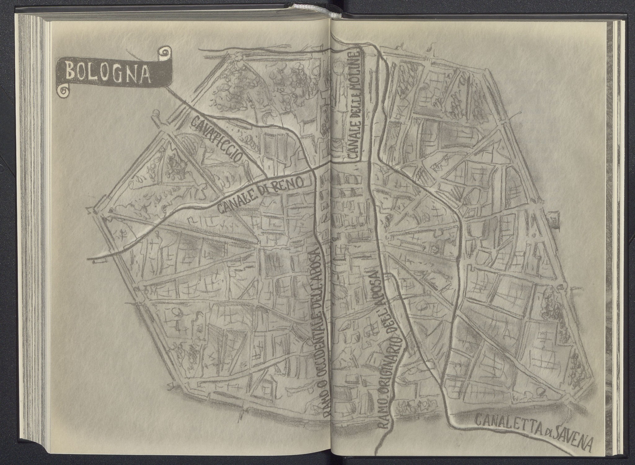 copertina di Comunicato stampa Ombre sotto i portici