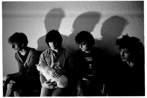 The+Chameleons+chameleonss.jpg