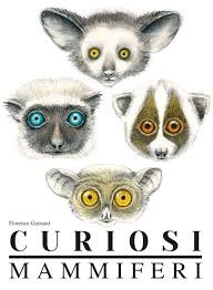 copertina di Curiosi mammiferi Florence Guiraud, L'Ippocampo, 2019
dai 7 anni