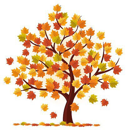immagine di Novità Adulti Ottobre 2025